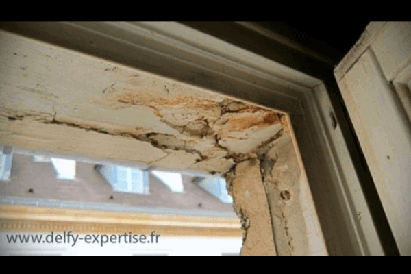 fissure-mur-extérieur-maison-neuve-Val-de-Marne-600x400