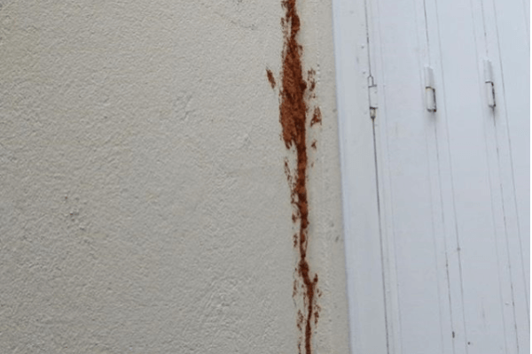 réparer-une-fissure-dans-un-mur-exterieur-Seine-Saint-Denis-600x400