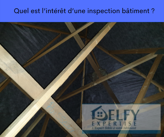 Quel est l’intérêt d’une inspection bâtiment - Paris - Ile de France