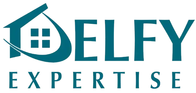 Delfy-Expertise.fr