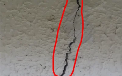 Fissure façade maison : qui consulter avant d’acheter en IDF ?