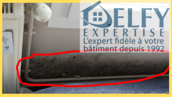 Expertise Humidité Maison